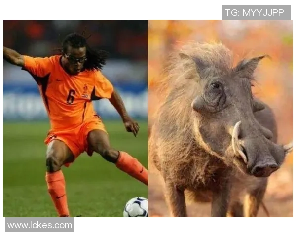 细数足坛巨星那些令人难忘的绰号与背后故事揭秘